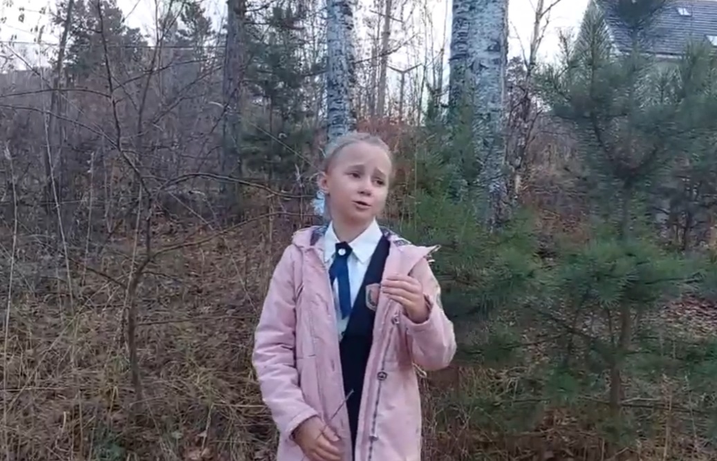 6. ГИМНАЗИЯ №10 Г.ДИВНОГОРСК  2Б КЛАСС ДОВГАЛЬ ЕКАТЕРИНА.mp4